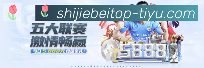 2026世界杯体育官方网站平台生态图