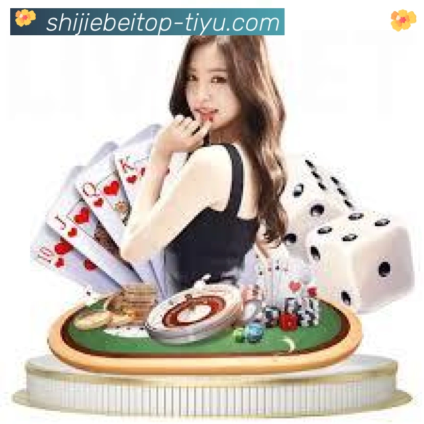 奖项证书